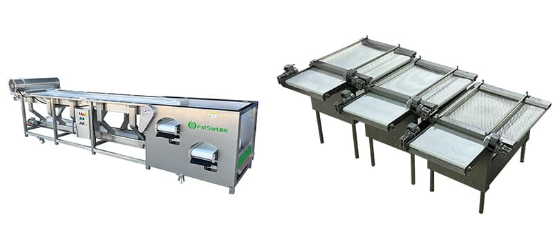 images/1711352626092blueberry sorting equipment.jpg